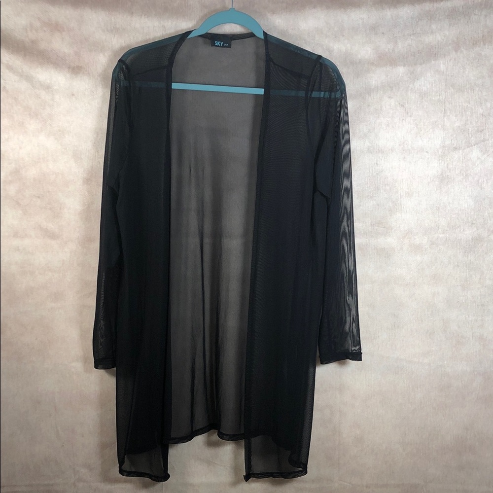 Black Sheer Swimsuit Coverup